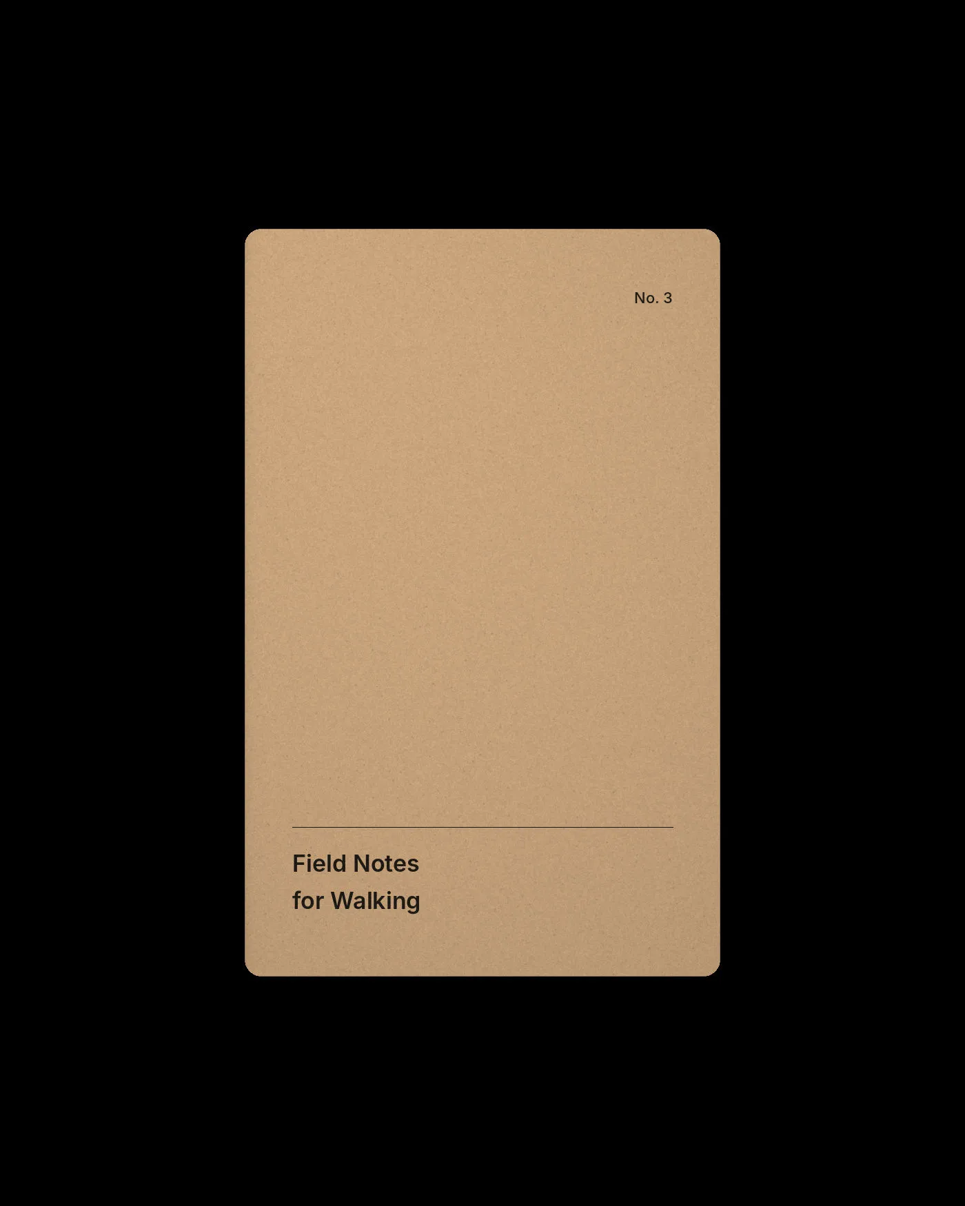 Field Notes for Walking, 2019